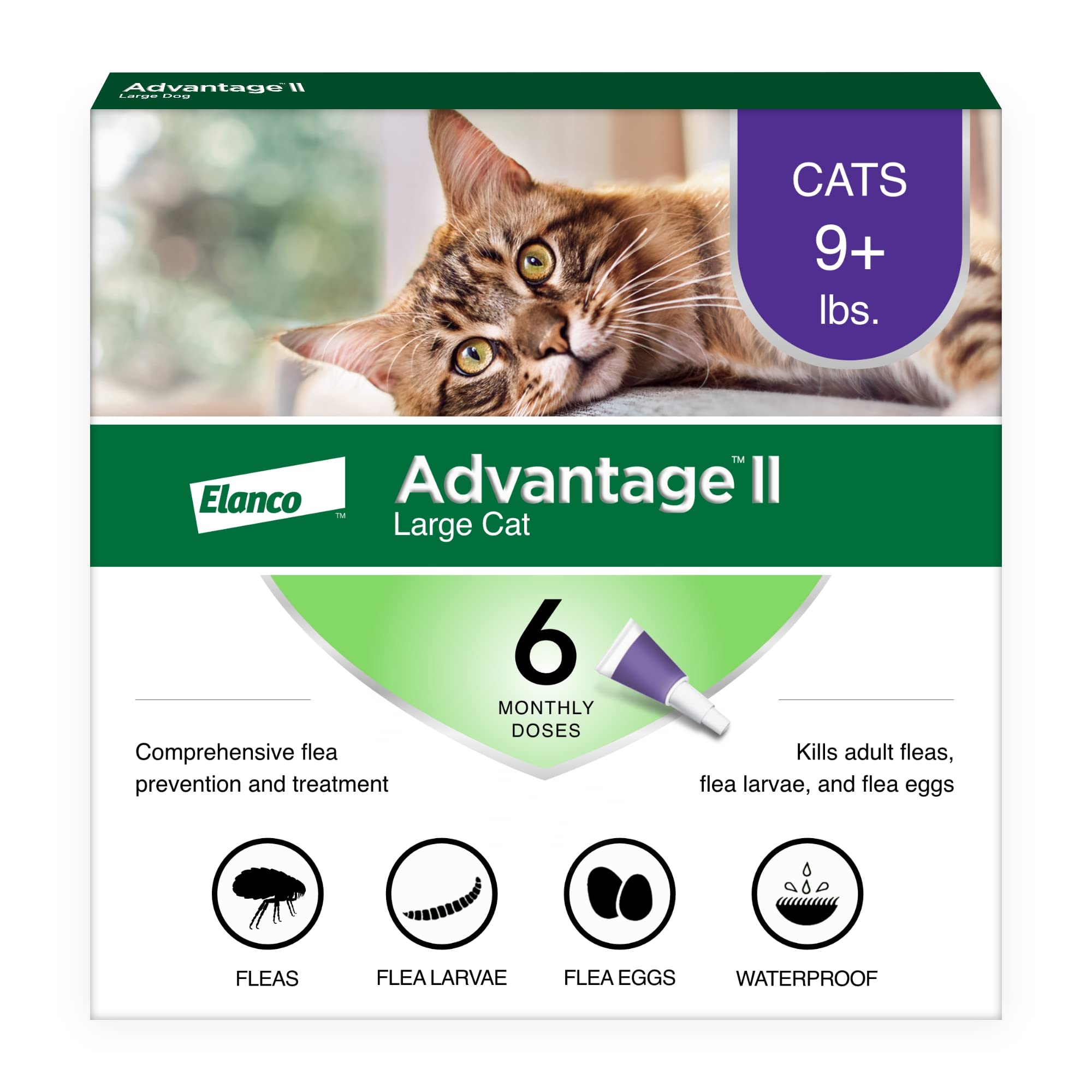 Algopix Similar Product 17 - Advantage II Large Cat VetRecommended