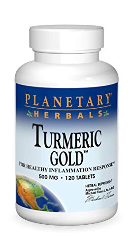 Algopix Similar Product 9 - Planetary Herbals Turmeric Gold 500mg