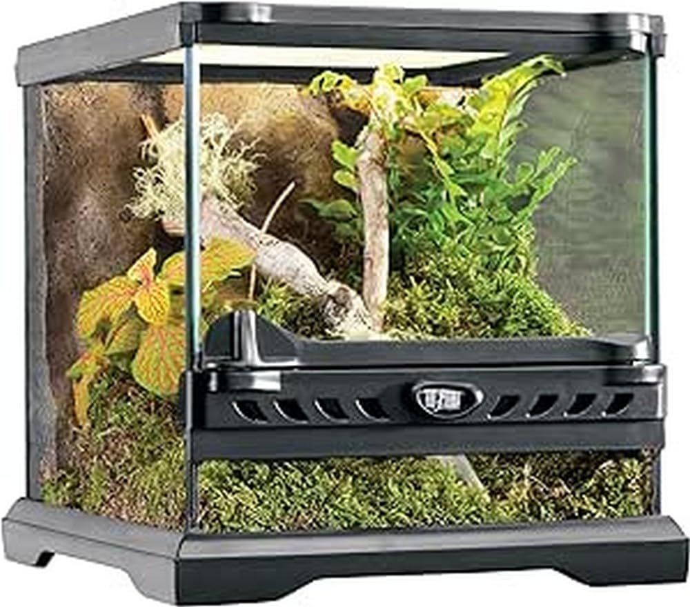 Algopix Similar Product 12 - Exo Terra Glass Terrarium Kit for