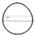Algopix Similar Product 5 - S-Seal APCO2398 Starite Lid U9171 O-Ring
