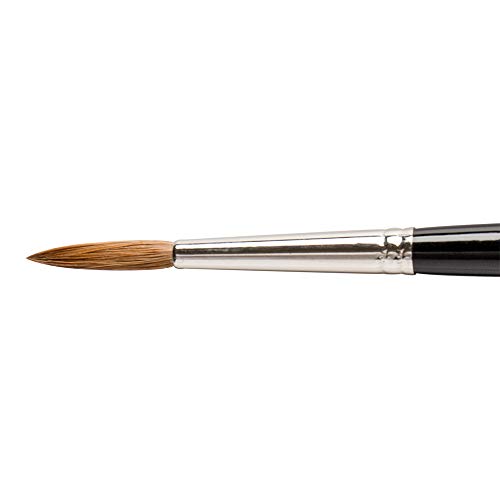 Algopix Similar Product 19 - Daler Rowney Diana Kolinsky Sable Brush