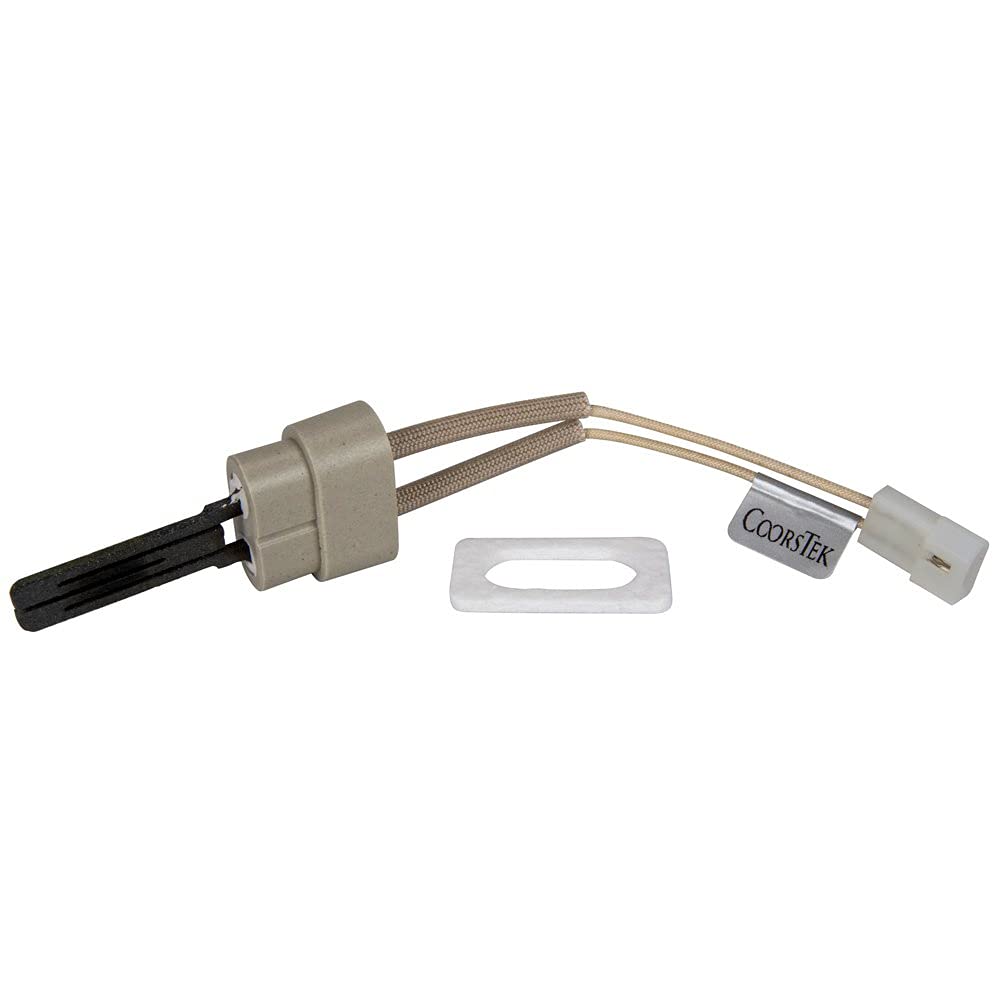 Algopix Similar Product 19 - Pentair 777070054 Igniter and Gasket
