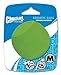 Algopix Similar Product 13 - Chuckit Erratic Ball Dog Fetch Toy