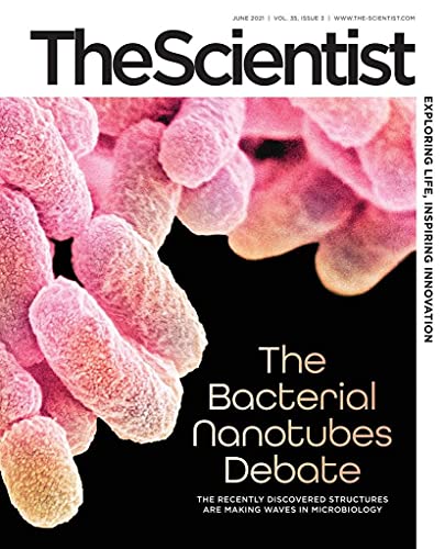 Algopix Similar Product 16 - The Scientist