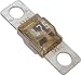 Algopix Similar Product 8 - Blue Sea Systems 5259 MIDI Fuse 175A