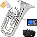 Algopix Similar Product 1 - Mendini MEPN Nickel Plated B Flat
