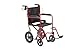 Algopix Similar Product 18 - Drive Medical EXP19LTRD Lightweight