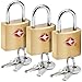 Algopix Similar Product 9 - Lewis N Clark Mini Brass Square TSA