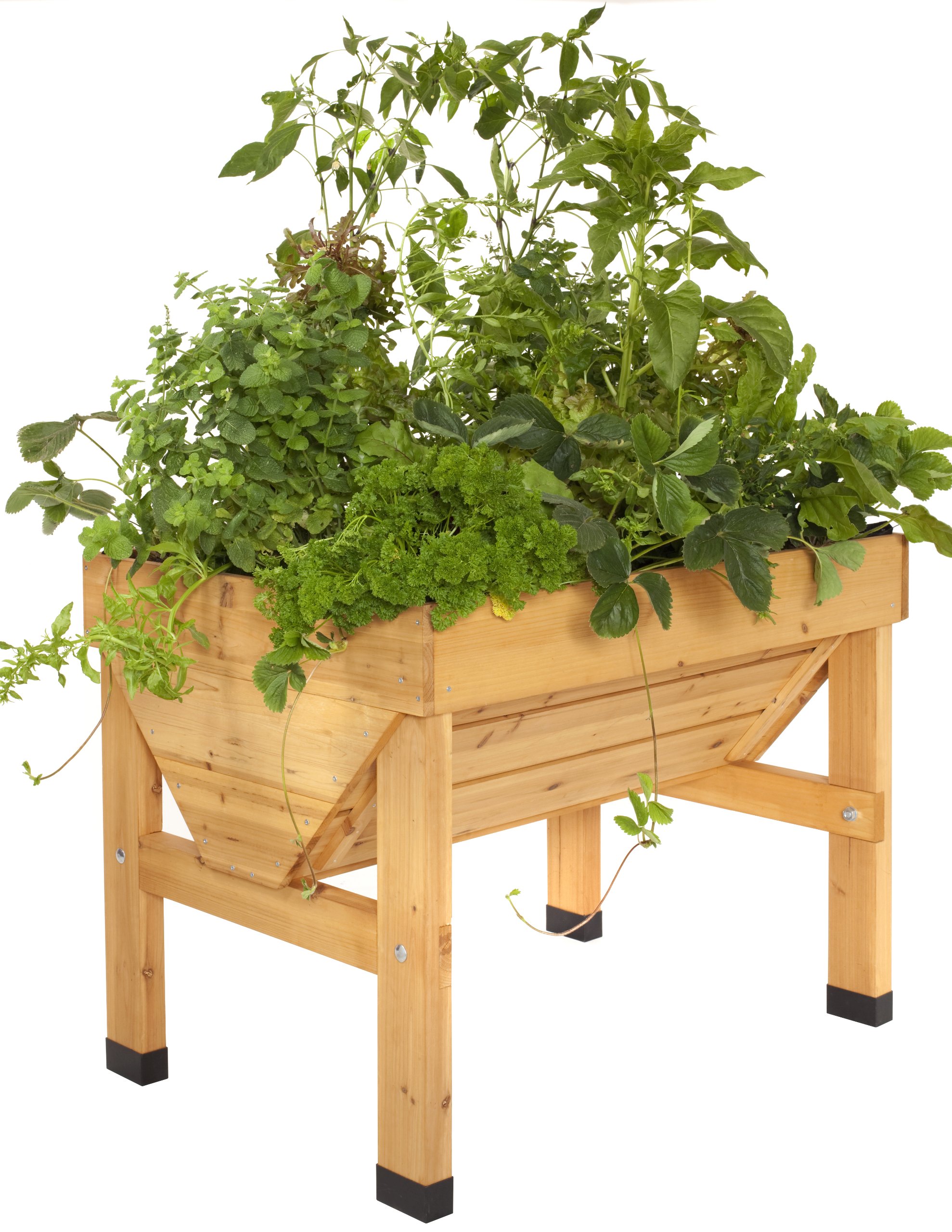 Algopix Similar Product 8 - VegTrug VTWHSN0381 Small Wood Cedar