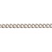 Algopix Similar Product 4 - pewag 89521 Curb Chain 25 Galvanised