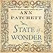 Algopix Similar Product 2 - State of Wonder: A Novel