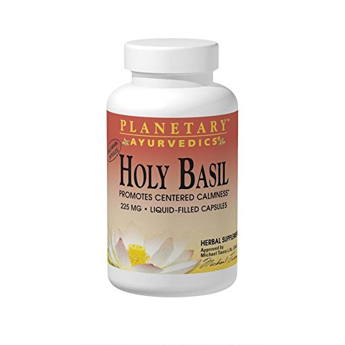 Algopix Similar Product 14 - PLANETARY HERBALS Holy Basil Liquid