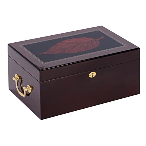 Algopix Similar Product 11 - Quality Importers Trading Deauville 100