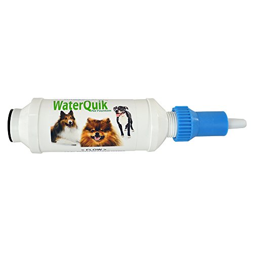 Algopix Similar Product 7 - WaterSentinel WSP1 Pet Fountain Water