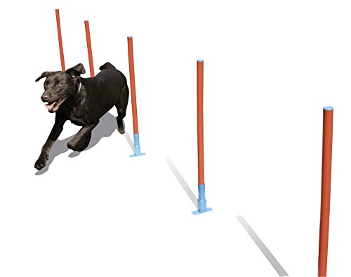 Algopix Similar Product 14 - Agility Slalom