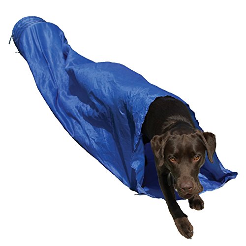 Algopix Similar Product 2 - Agility Tunnel - Dog play & exercise toy
