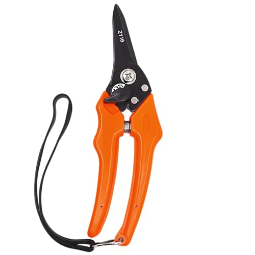 Algopix Similar Product 18 - Zenport Z116 Hoof and Floral Trimming