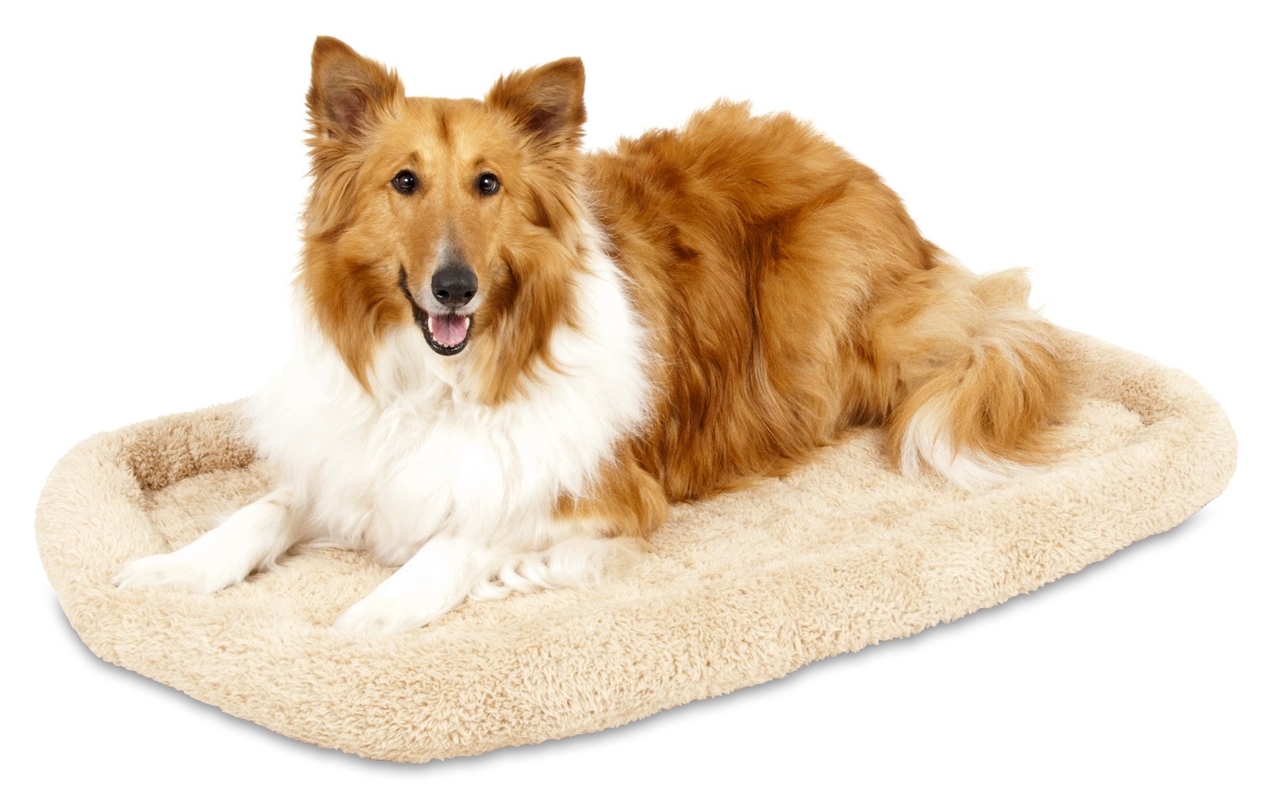 Algopix Similar Product 16 - Petmate Aspen Pet Bolster Style Kennel