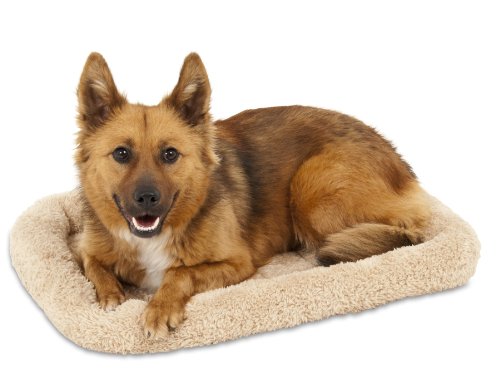 Algopix Similar Product 16 - Petmate Bolster Style Kennel Mat