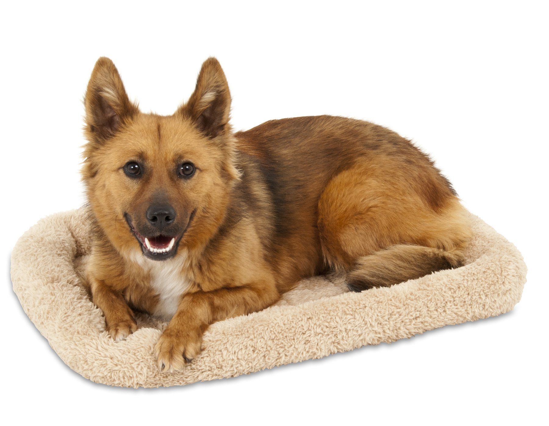 Algopix Similar Product 11 - Petmate Bolster Style Kennel Mat