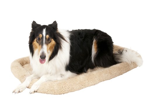 Algopix Similar Product 10 - Aspen Pet Bolster Style Kennel Mat,