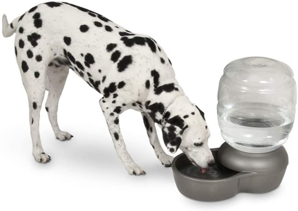 Algopix Similar Product 12 - Petmate Replendish Automatic Gravity