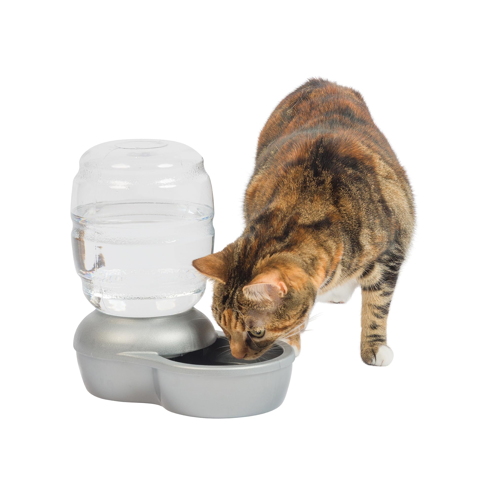 Algopix Similar Product 18 - Petmate Replendish Automatic Gravity