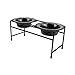 Algopix Similar Product 14 - Platinum Pets Double Diner Feeder with