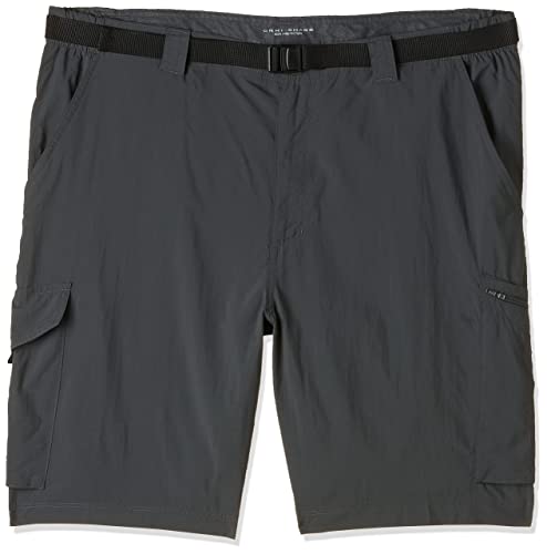 Algopix Similar Product 2 - Columbia Mens Silver Ridge Cargo