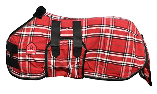 Algopix Similar Product 10 - 