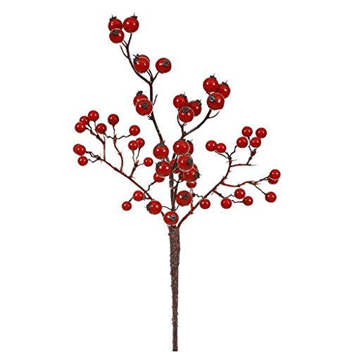 Algopix Similar Product 8 - 13" Red Mixed Berry Pick Outdoor