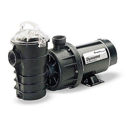 Algopix Similar Product 19 - Pentair DYNIINI2 HP Dynamo Single