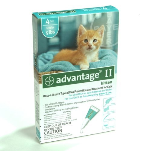 Algopix Similar Product 15 - Advantage 2 Kitten