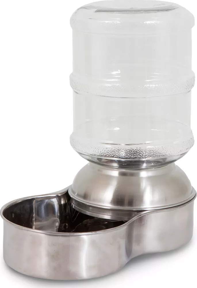 Algopix Similar Product 17 - Petmate Stainless Steel Replendish