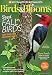 Algopix Similar Product 10 - Birds & Blooms