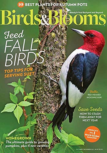 Algopix Similar Product 19 - Birds & Blooms
