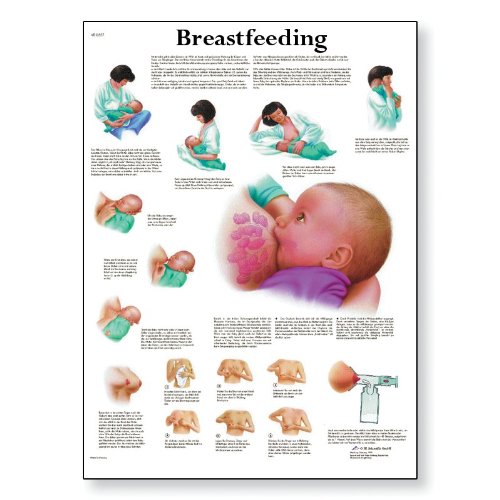 Algopix Similar Product 4 - 3B Scientific VR1557UU Glossy Paper