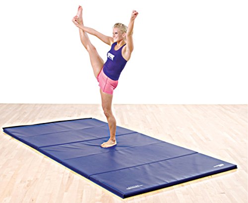 Algopix Similar Product 1 - GSCAA Bonded Foam Mat 6' x 12' x 2"