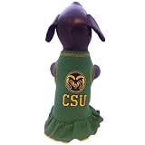 Algopix Similar Product 19 - NCAA Colorado State Rams Cheerleader