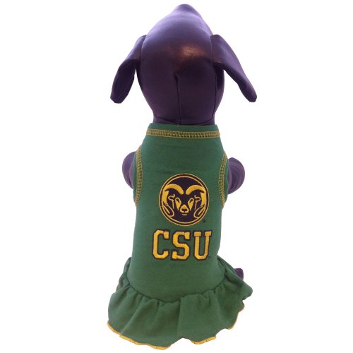 Algopix Similar Product 10 - NCAA Colorado State Rams Cheerleader