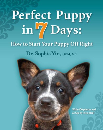 Algopix Similar Product 20 - Perfect Puppy in 7 Days How to Start