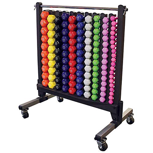 Algopix Similar Product 7 - BodySolid Commercial Dumbbell Rack