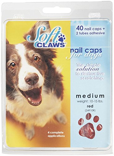Algopix Similar Product 10 - Soft Claws Canine Dog and Cat Nail Caps