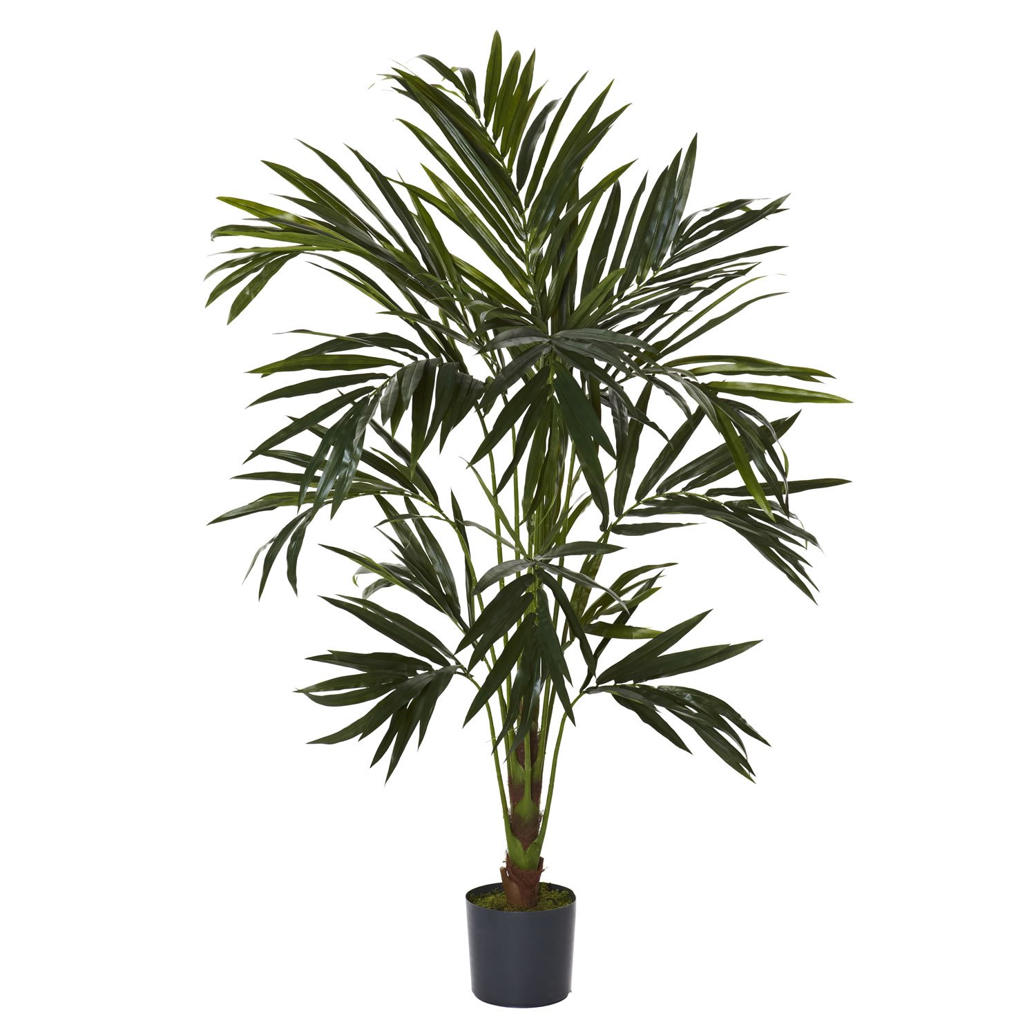 Algopix Similar Product 13 - Nearly Natural 6ft. Kentia Silk Tree