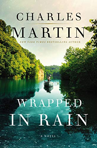 Algopix Similar Product 19 - Wrapped in Rain: A Novel