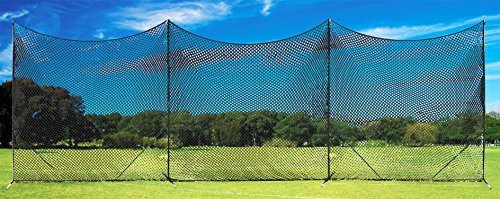 Algopix Similar Product 15 - Champion Sports Lacrosse Backstop Net