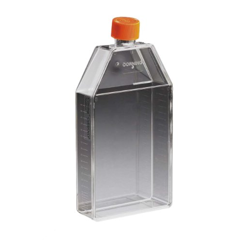 Best Deal for Corning CellSTACK 3268 Polystyrene Chamber with Vent Caps ...