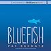 Algopix Similar Product 11 - Bluefish