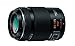 Algopix Similar Product 15 - Panasonic Telephoto Zoom Lens for Micro