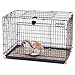 Algopix Similar Product 10 - Precision Pet Products Petmate 37 by 18